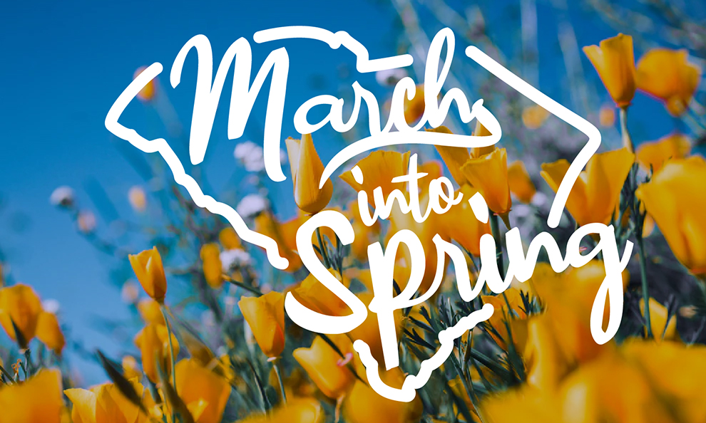 Ready for spring March Education updates Stories February 28, 2021